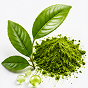 Green Tea Extract